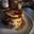 Burgersyrup