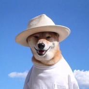 ♥♥♥秦可一♥♥♥