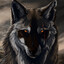Howl