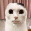 KUNI MASTER