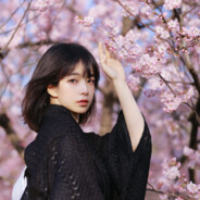 独领风骚五千年