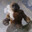 Monke