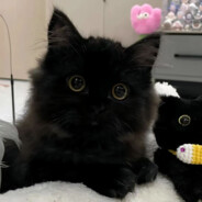 自期许余生久久长