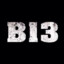 B13_8