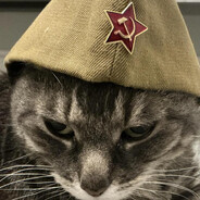 SHK PLT INC CPL Cat
