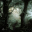 Bander wander