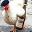 El Pollo loco