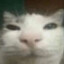 sup g
