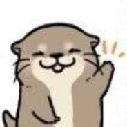 电饭锅里的獭獭