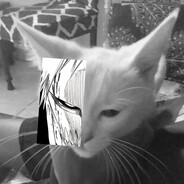 XANAAAAX avatar