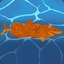Deadly Fish Stix