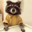 RaccoonsInMyButt