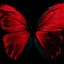 Ƹ̴Ӂ̴Ʒ♠Red ButterFly♠ Ƹ̴Ӂ̴Ʒ