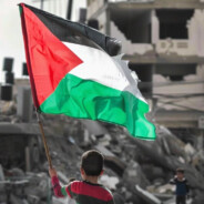 请救救加沙的孩子们吧