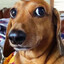 Chili Willi