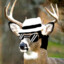 Pseudo_Cervidae