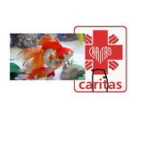 RYBOBRZUSZEK W KUTASIE