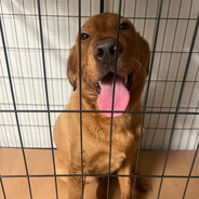 让我死在那个冬天