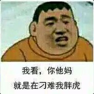 我不是胖虎