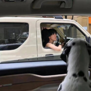 Sadness（蔡徐坤版）