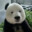 Ictoan