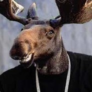 ЛОСЬ ВЕТАЛЯ