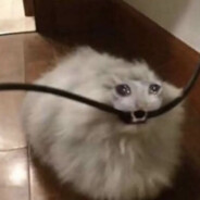 Gaming Bro 👈(ﾟヮﾟ👈)