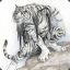 Mr.Tigr