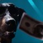 Deagle Dog
