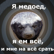 Medoed_86ru