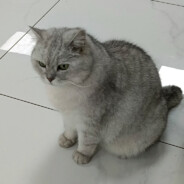 Five star General Corporal James