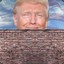 Trump&#039;s Wall