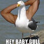 peScaRuSuL acRRRoBaTTT :X