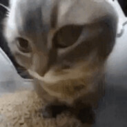 FLOS - steam id 76561199231175477