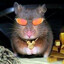 fehku FREEMONEY.NET