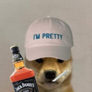 протрахер2015