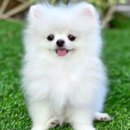 i am only here for tetris