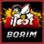 BoRiM