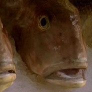 Pussy Fish