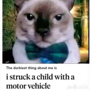 the sigma skibidi gooner