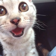 你们吃鸡我吃鸡屁股