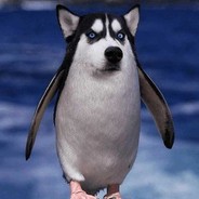 ☯迷惑行为呆头鹅☯