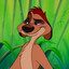 timon