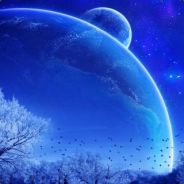 你是我的Darling吗