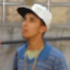vdalzin