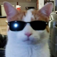 Tac's Avatar