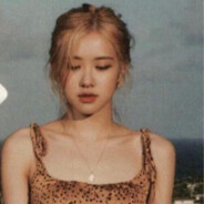 小猫的第七页日记