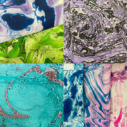 멸치아니고며르치