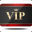 vip person