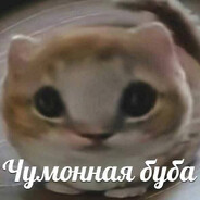 Y0rik